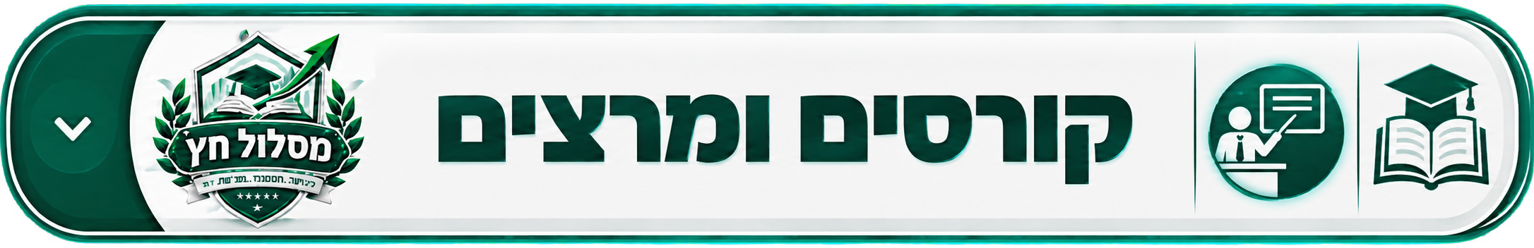 קורסים ומרצים